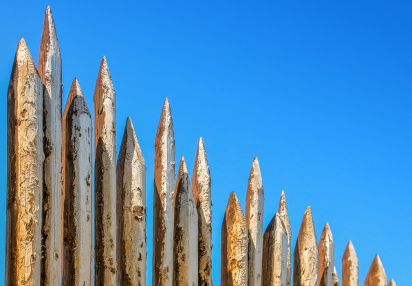 WOODEN PILLARS by ALL ABOUT YOU ART